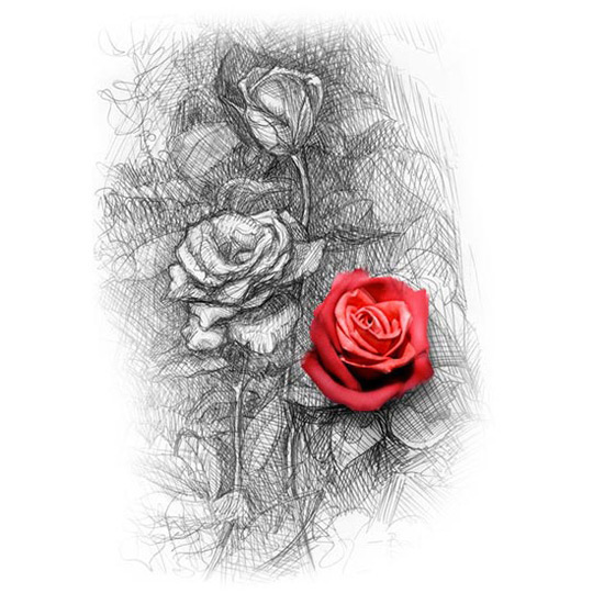 Rosengarten